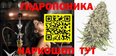 apvp Краснознаменск