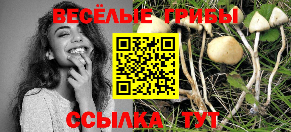 Галлюциногенные грибы GOLDEN TEACHER Кузнецк