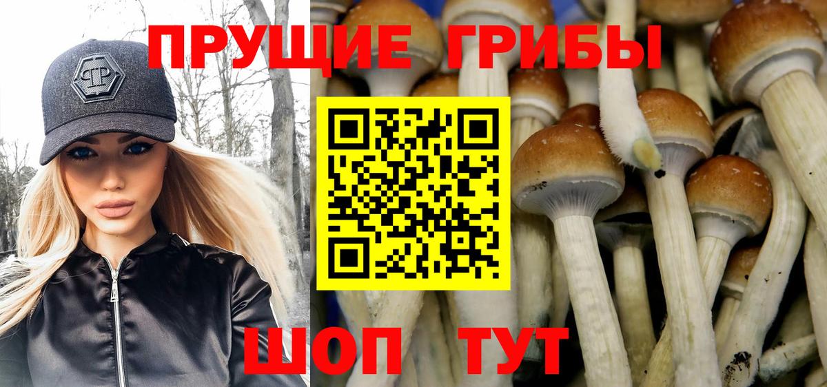 Псилоцибиновые грибы GOLDEN TEACHER  Галлюциногенные грибы MAGIC MUSHROOMS  Вход с VPN  Кузнецк 